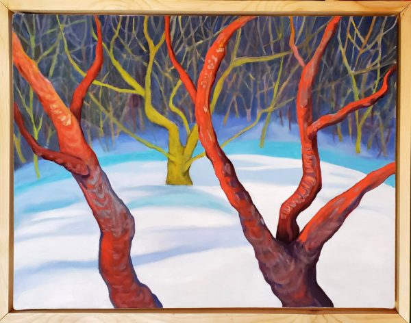 Winter Red - Image 2