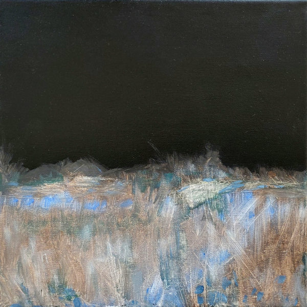 Midnight Frost I